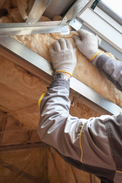 Best Wall Insulation Installation  in Somers, MT